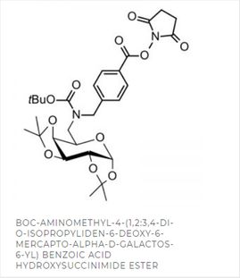 Hydroxysuccinimid Ester