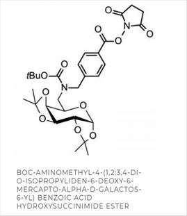 Ein Hydroxysuccinimid Ester