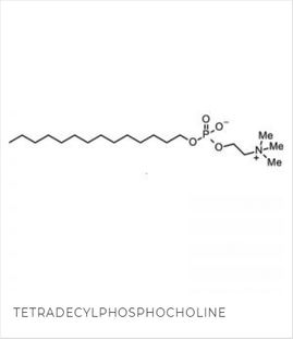Tetradecylphosphocholin