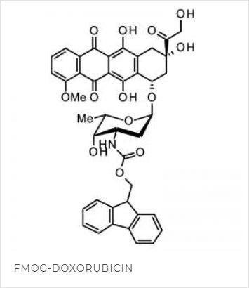 Fmoc-Doxorubicin
